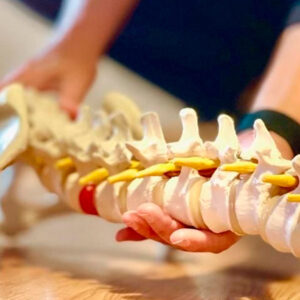 Pilates y lesiones - Módulo 1 - 95€ (Reserva 95€)